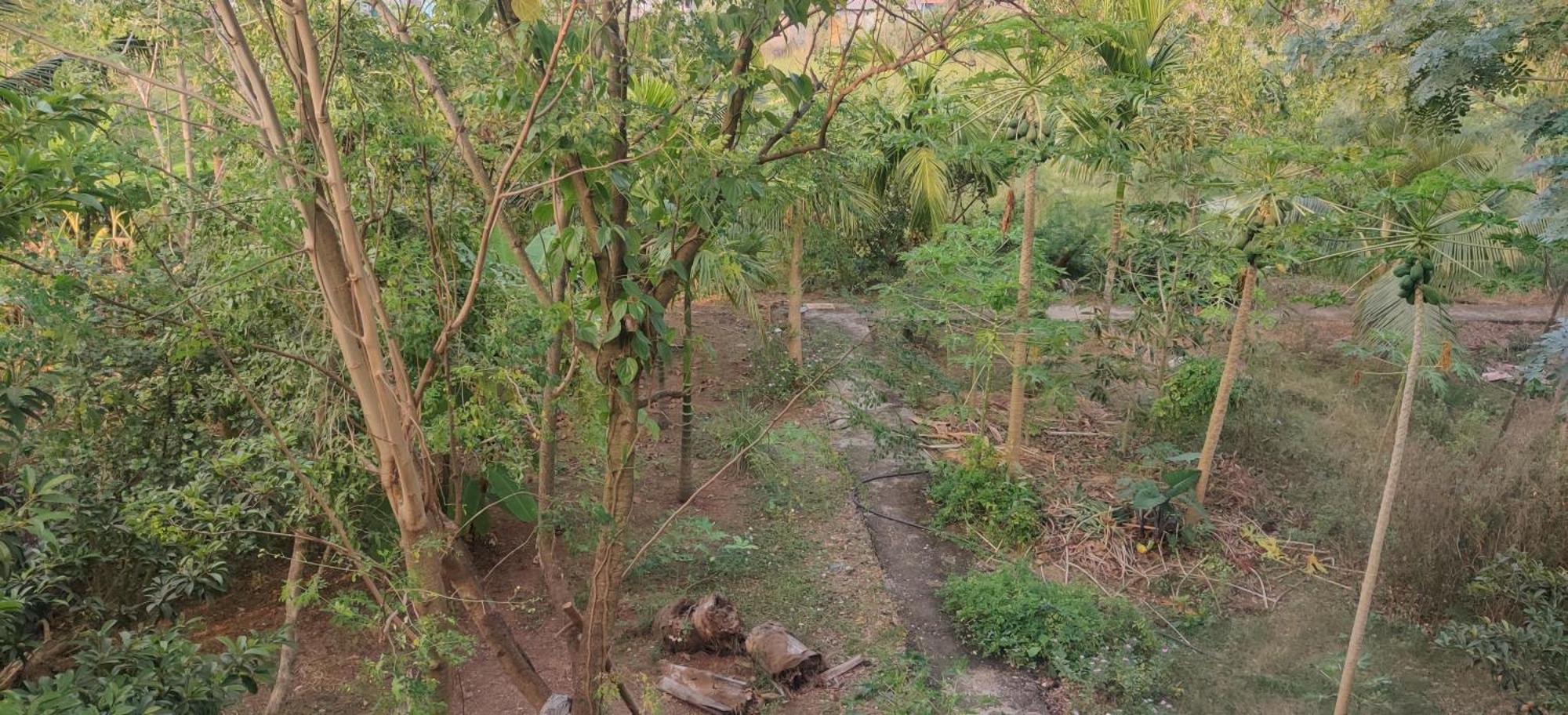 Gulmohar Cottages - Home Stay In Alibag Alībāg Exterior foto